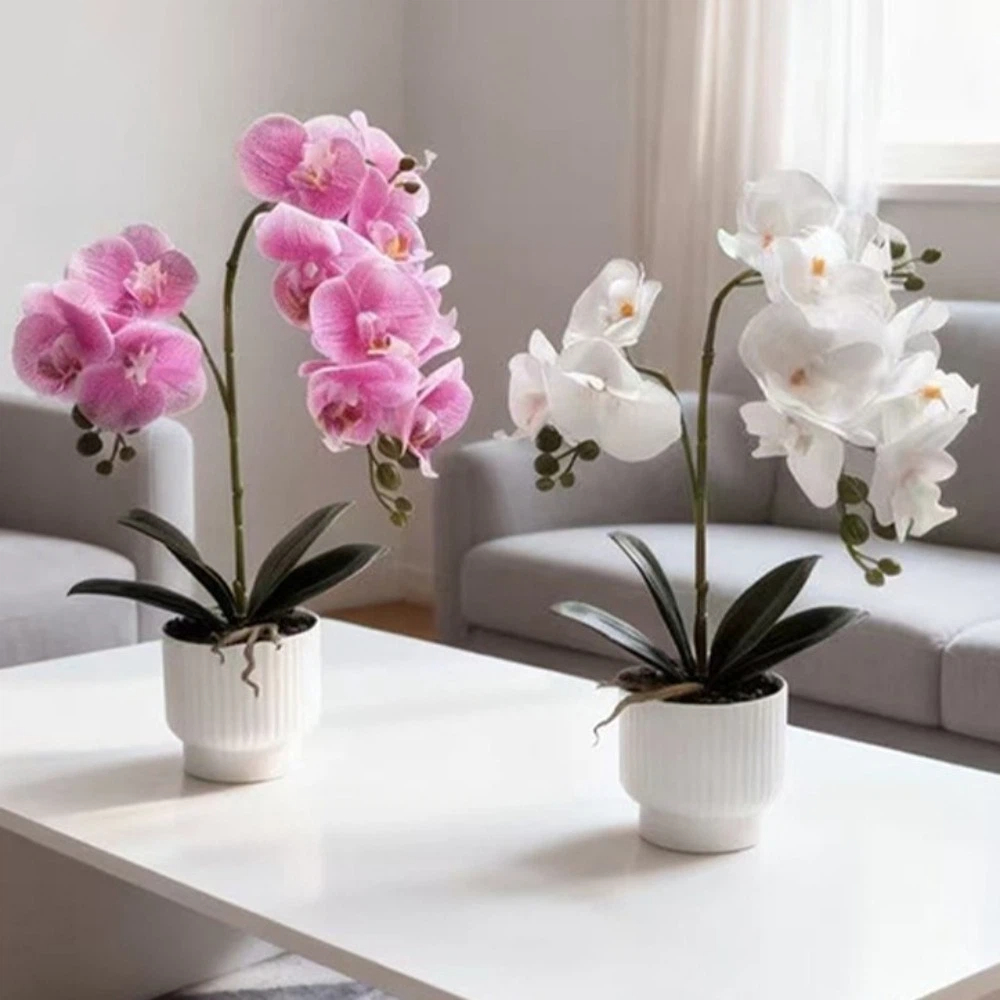 Orchid Potting Mix - 멀티 블룸 시뮬레이션 나비 난초 DIY