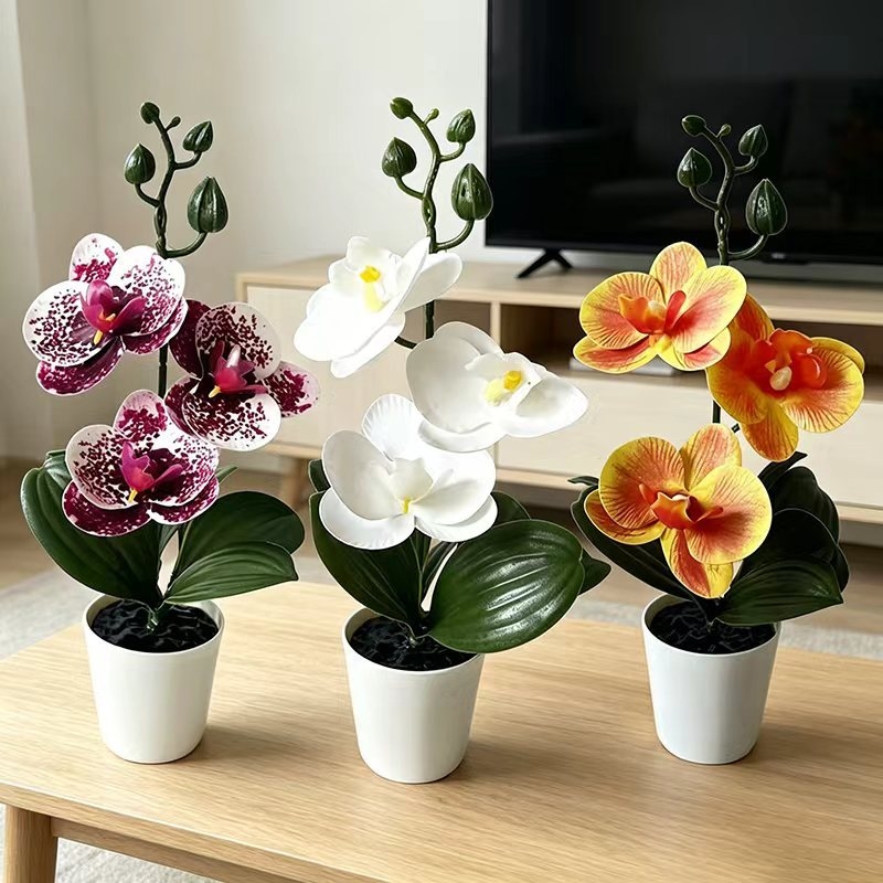 Orchid Potting Mix - 미니 나비 난초 화분(꽃 3송이 포함),