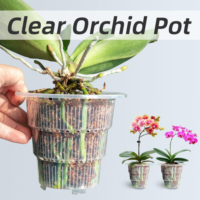 Orchid Potting Mix - 구멍과 접시가 있는 투명 플라스틱 난초