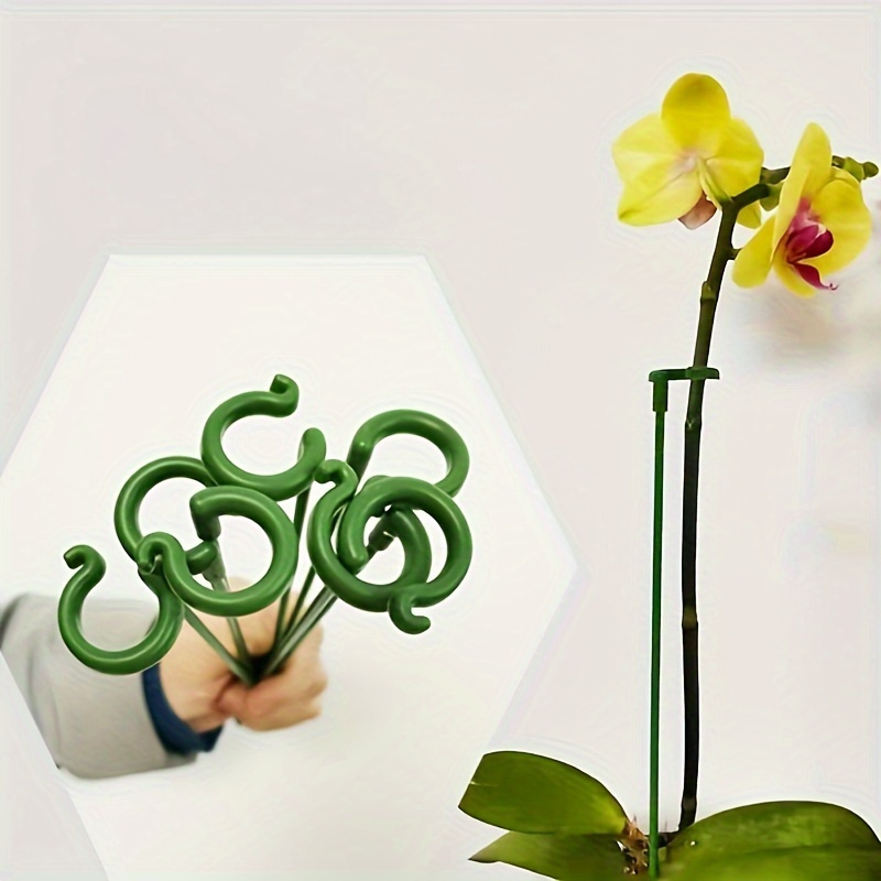 Orchid Potting Mix - 6개입 녹색 플라스틱 식물 지지대, 후크가