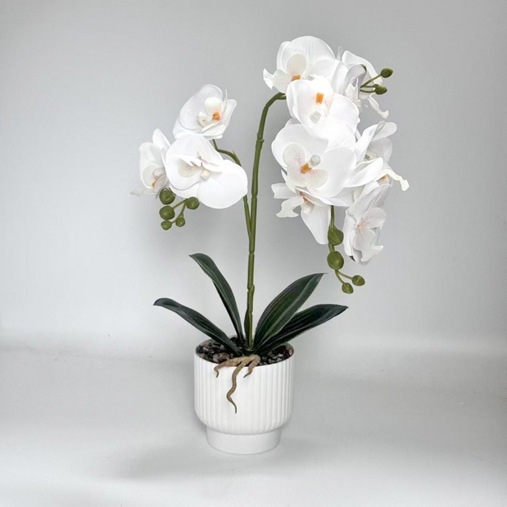 멀티 블룸 시뮬레이션 나비 난초 DIY 화이트 화분 인 - Orchid Potting Mix 리뷰 및 가격