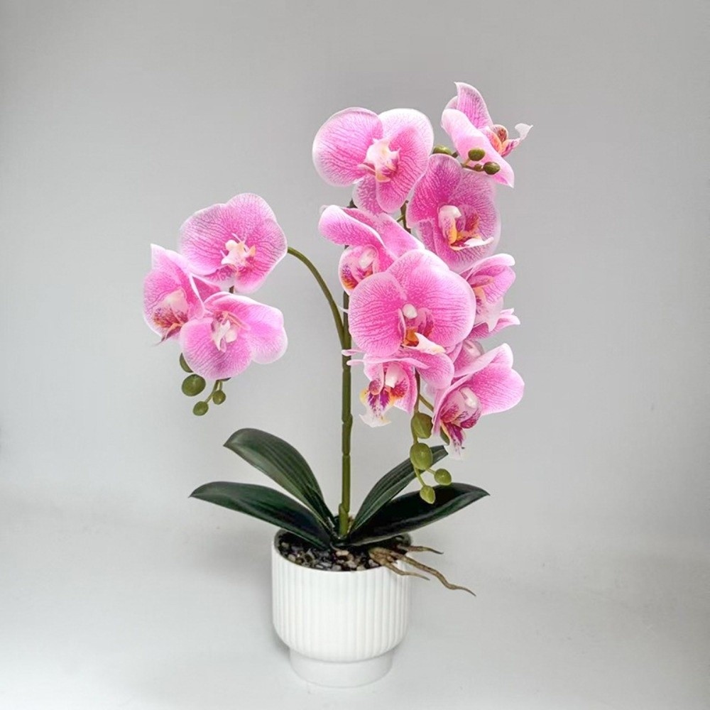 멀티 블룸 시뮬레이션 나비 난초 DIY 화이트 화분 인 - Orchid Potting Mix 리뷰 및 가격