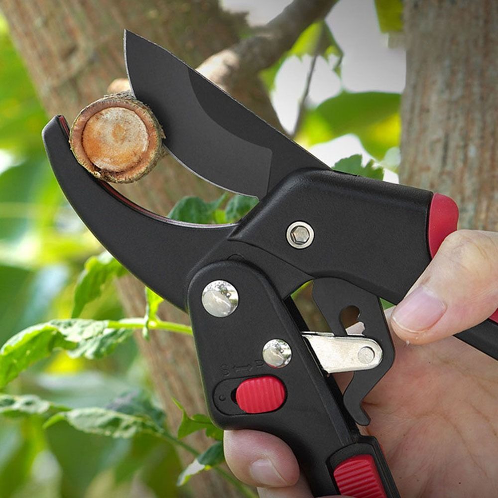 조절 가능한 래칫 정원 가지치기 가위 날카로운 절약형  - Gardening Tools Sharp 리뷰 및 가격