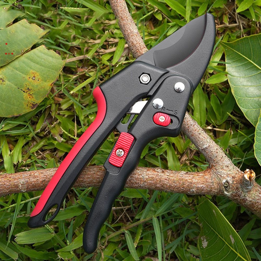 조절 가능한 래칫 정원 가지치기 가위 날카로운 절약형  - Gardening Tools Sharp 리뷰 및 가격