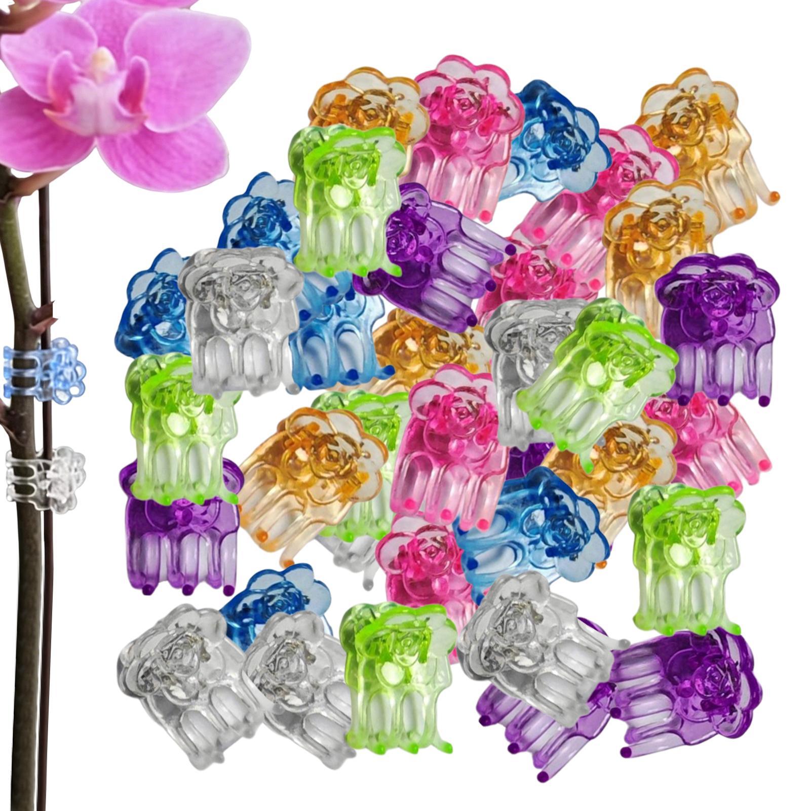 난초 클립 60개 나비 모양 꽃 덩굴 지지대 클램프 온 - Orchid Potting Mix 리뷰 및 가격