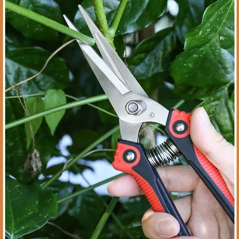 뉴스샤크 스테인리스 스틸 전정가위 날카로운 가지치기 가 - Gardening Tools Sharp 리뷰 및 가격