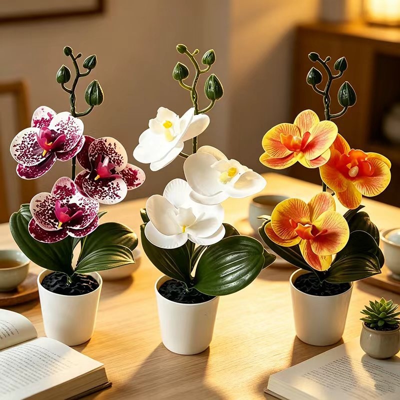 미니 나비 난초 화분(꽃 3송이 포함), 검은색 뚜껑  - Orchid Potting Mix 리뷰 및 가격
