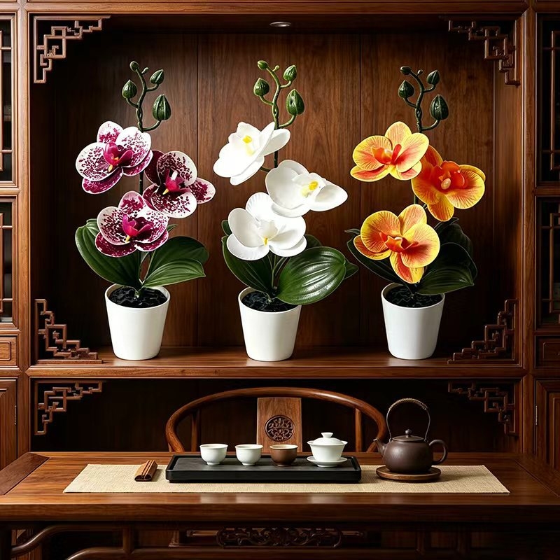 미니 나비 난초 화분(꽃 3송이 포함), 검은색 뚜껑  - Orchid Potting Mix 리뷰 및 가격