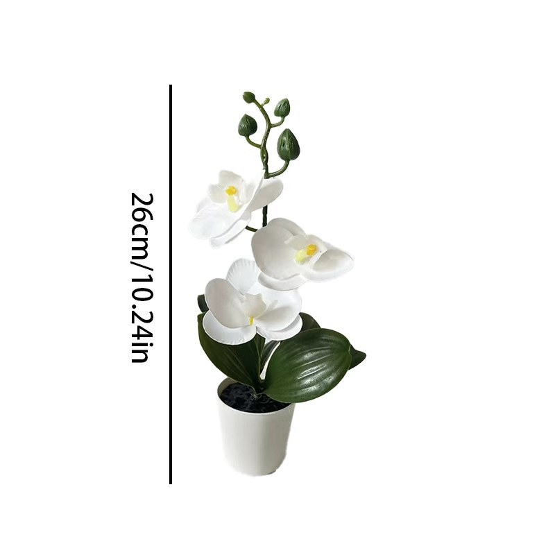 미니 나비 난초 화분(꽃 3송이 포함), 검은색 뚜껑  - Orchid Potting Mix 리뷰 및 가격