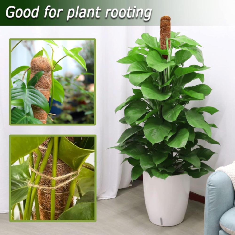 30-100cm 구부릴 수 있는 식물 등반 지지대 이끼 - Gardening Tools Kids 리뷰 및 가격