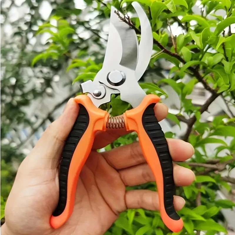 프루프 샤프 가든 트리밍 가위 전문 미끄럼 방지 손 전 - Gardening Tools Sharp 리뷰 및 가격
