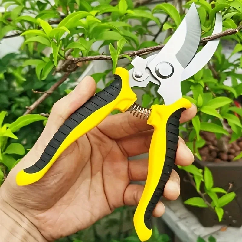 프루프 샤프 가든 트리밍 가위 전문 미끄럼 방지 손 전 - Gardening Tools Sharp 리뷰 및 가격