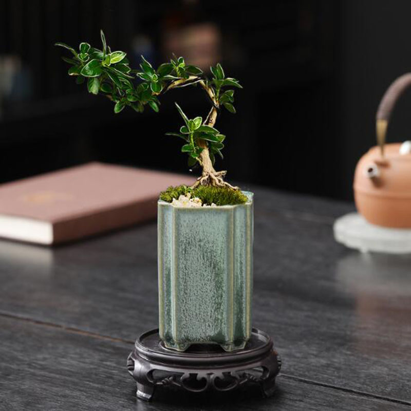 도자기 광장 청자 유약 난초 화분 분재 꽃병 식물 냄비 - Orchid Potting Mix 리뷰 및 가격