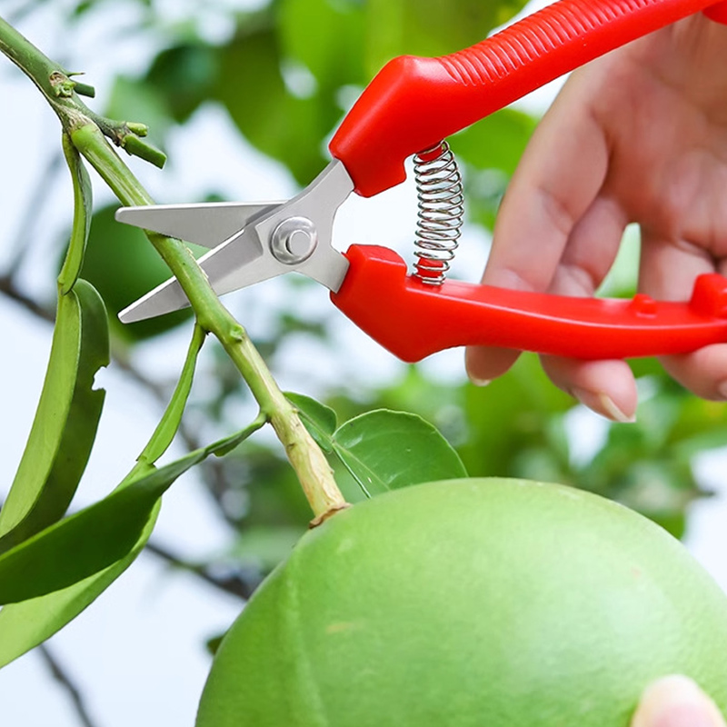 한 손용 가위 가지치기 가위 가지 잔디 정원 과일 나무 - Gardening Tools Sharp 리뷰 및 가격