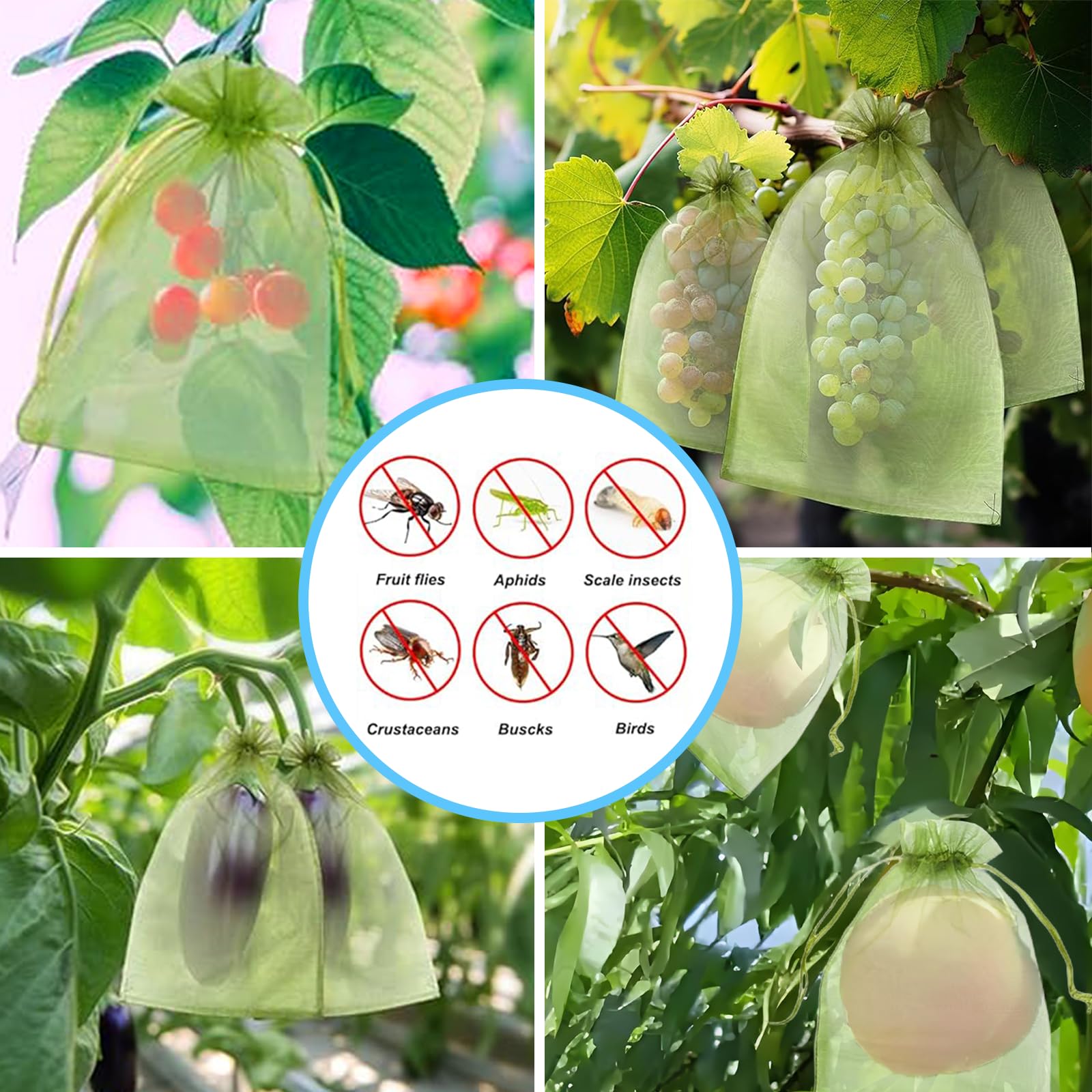 효과적인 조류 방지망 과일 보호 가방 식물 재배 커버  - Garden Netting Cover 리뷰 및 가격