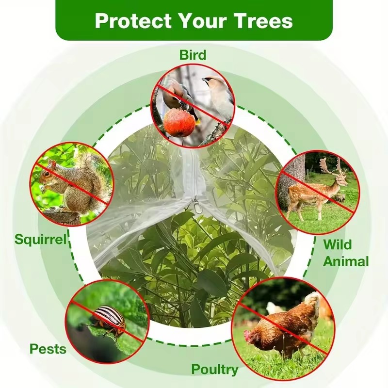 끈과 지퍼가 있는 과일나무 보호망, 새와 곤충 방지 정 - Garden Netting Cover 리뷰 및 가격
