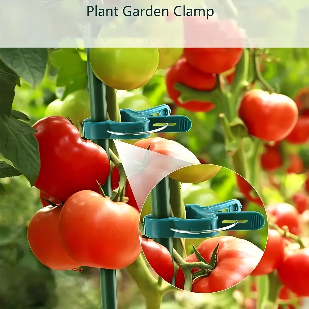 10/30/50개 조절 가능한 식물 클립 - 꽃, 덩굴 - Gardening Tools Essential 리뷰 및 가격