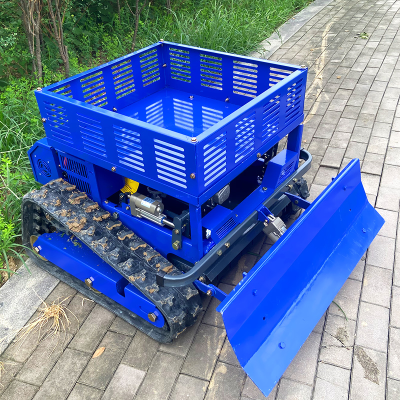맞춤형 필수 정원 도구 RC 잔디깎이, 마당, 공원,  - Gardening Tools Essential 리뷰 및 가격