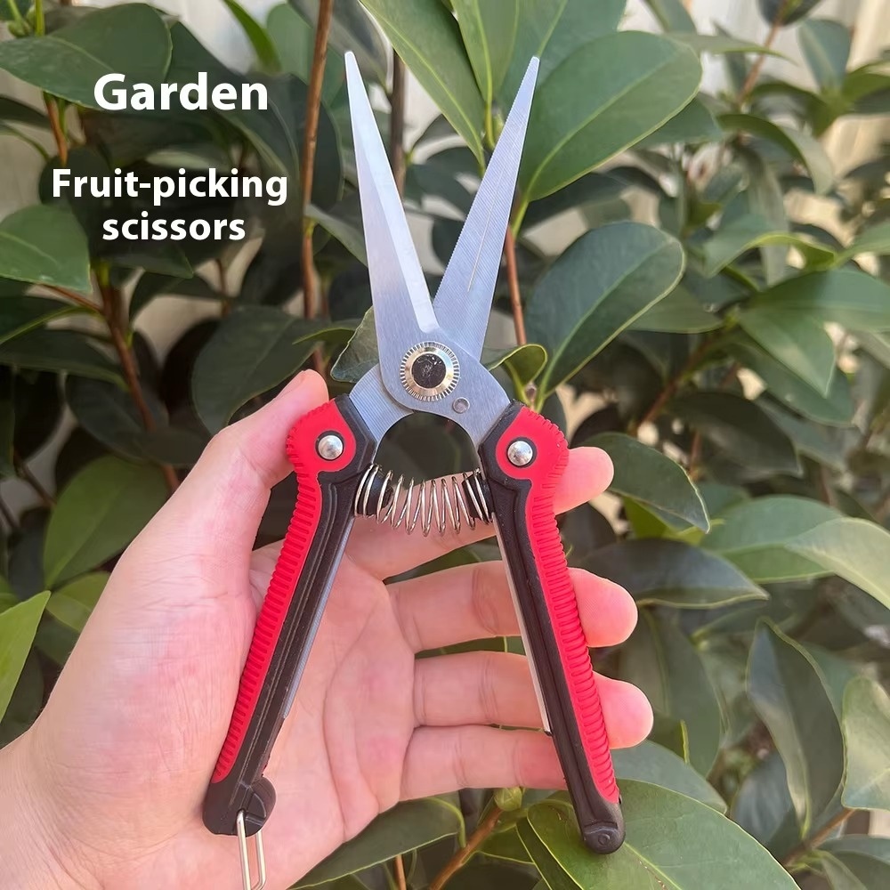 전문가용 날카로운 가지치기 가위, 스테인리스 스틸 재질 - Gardening Tools Sharp 리뷰 및 가격