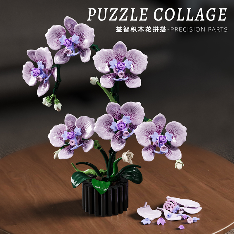 619PCS 팔라에노프시스 블록 꽃 난초 화분 식물 시 - Orchid Potting Mix 리뷰 및 가격