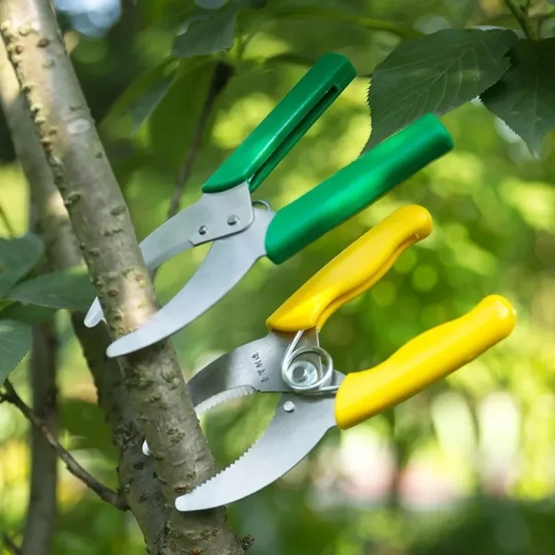 날카로운 껍질 벗기는 칼 정원 나무 가지 링 베어킹 커 - Gardening Tools Sharp 리뷰 및 가격