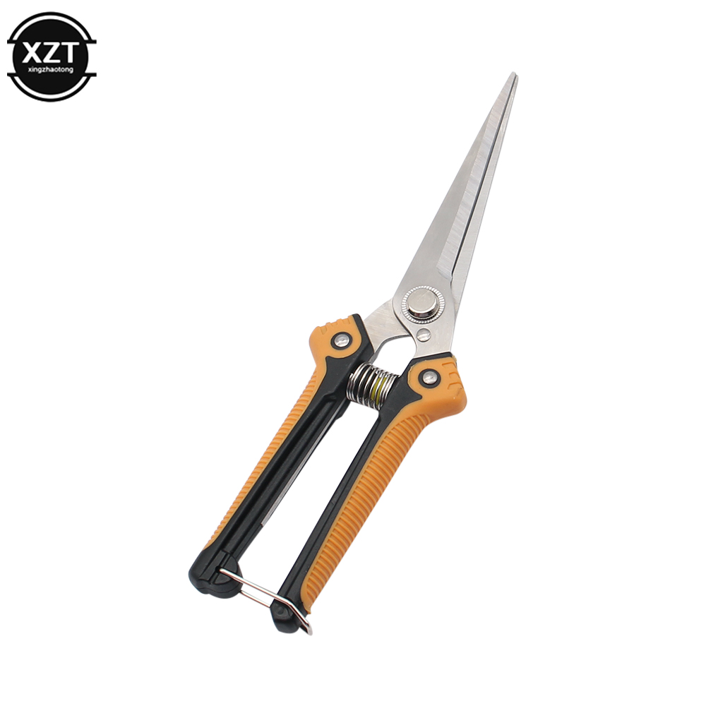 가지 치기 가위 전문 정원 가위 스트레이트 스테인레스  - Gardening Tools Japanese 리뷰 및 가격