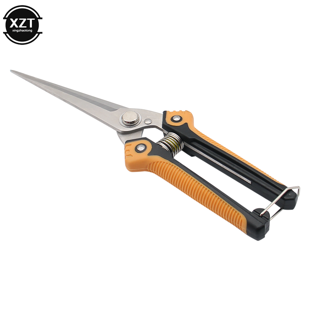 가지 치기 가위 전문 정원 가위 스트레이트 스테인레스  - Gardening Tools Japanese 리뷰 및 가격