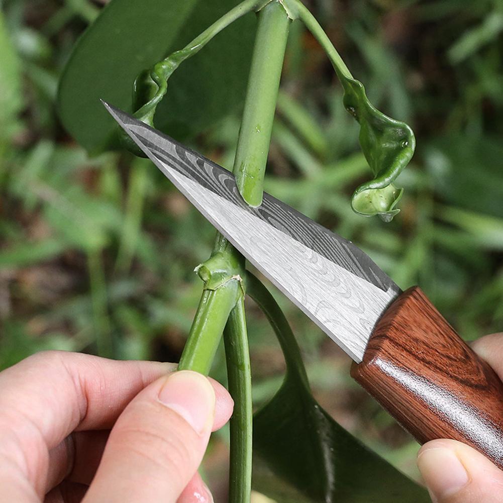 날카로운 접목칼, 나무 손잡이 및 가죽 칼집 포함, 발 - Gardening Tools Sharp 리뷰 및 가격