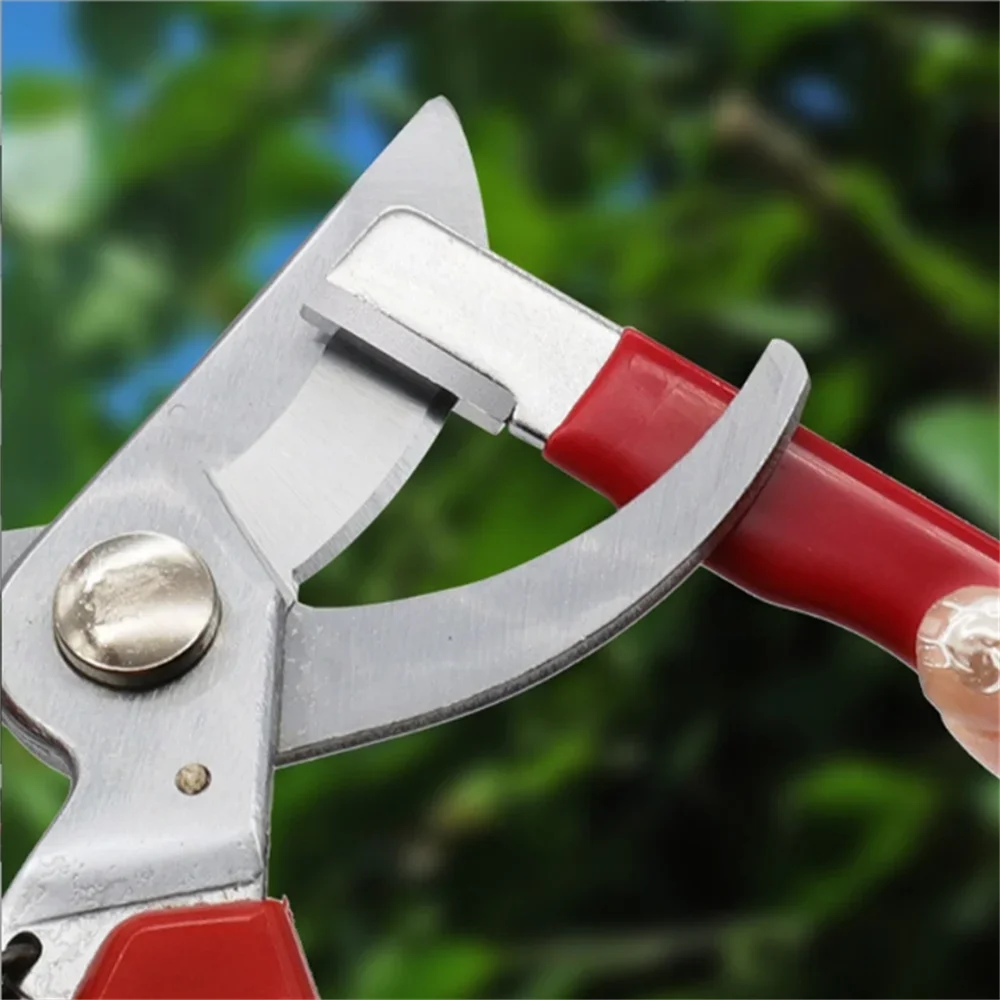 다기능 휴대용 칼갈이, 야외용 가위, 정원 가지치기,  - Gardening Tools Knife 리뷰 및 가격