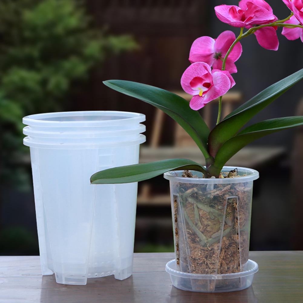 5개/키트 투명 플라스틱 난초 화분, 에어 컬럼 꽃 화 - Orchid Potting Mix 리뷰 및 가격