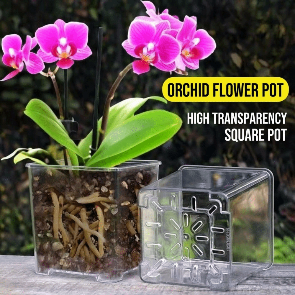 투명 소재 아크릴 화분 배수구 재사용 가능 투명 화분  - Orchid Potting Mix 리뷰 및 가격