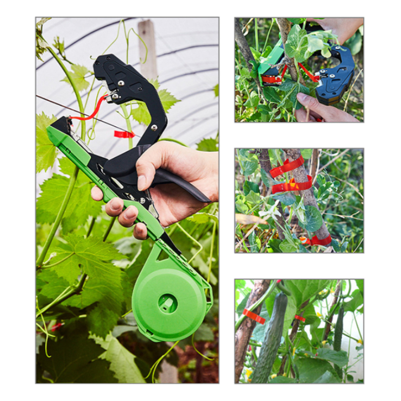 식물 가지 손묶음 결속기 정원 덩굴식물 채소 포도 토마 - Gardening Tools Essential 리뷰 및 가격